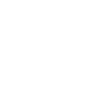 Sunrise Electric Co. Logo