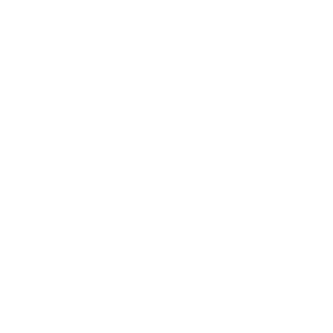 Punch List Pros: Click to visit site.